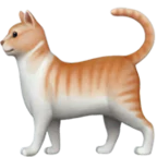 cat emoji
